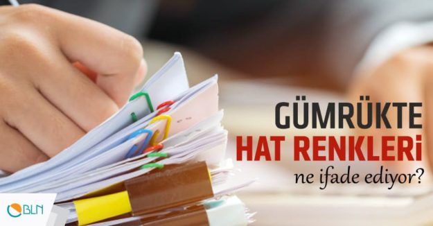 Gümrükte Hat Renkleri Ne İfade Ediyor?